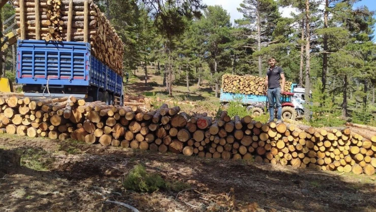 Tomruk yüklü kamyon devrildi: 1 ölü