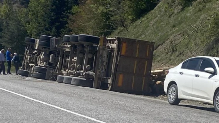Tomruk Yüklü Tır Devrildi