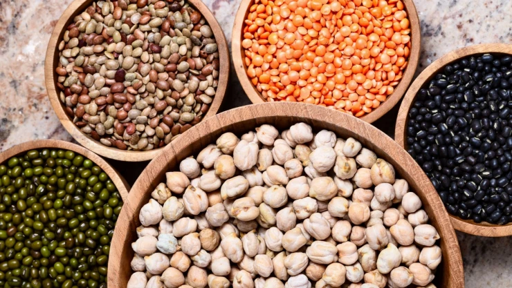 Toprağın ve İnsanın Gıdası Bakliyat