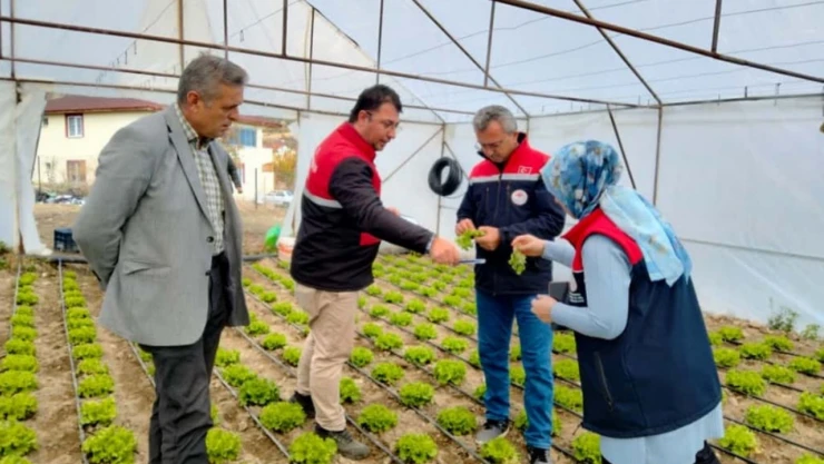 Tosya Akbük Köyü'nde Sera Denetimi Gerçekleştirildi