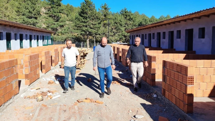 Tosya'da Çalışmalar Sürüyor