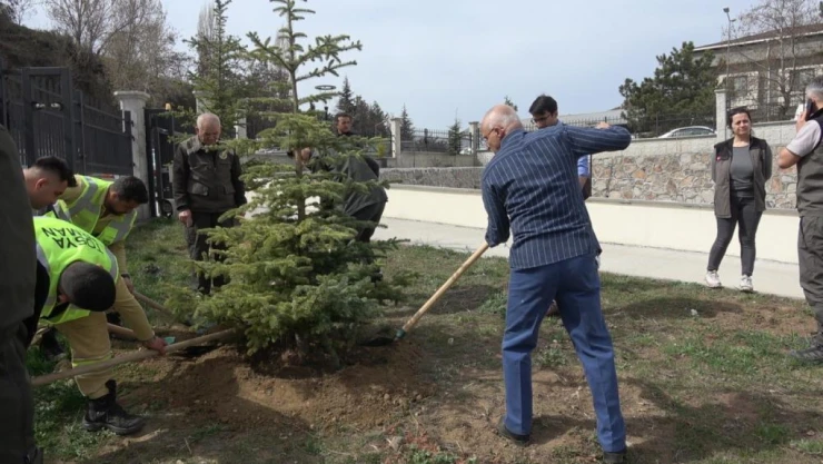Tosya'da Fidanlar Toprakla Buluşturuldu