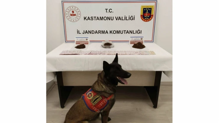 Tosya'da Uyuşturucu Operasyonu: 1 Tutuklama