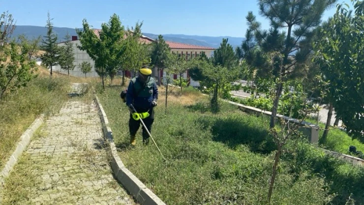 Tosya'da Yeşil Alanlar İçin Yoğun Mesai