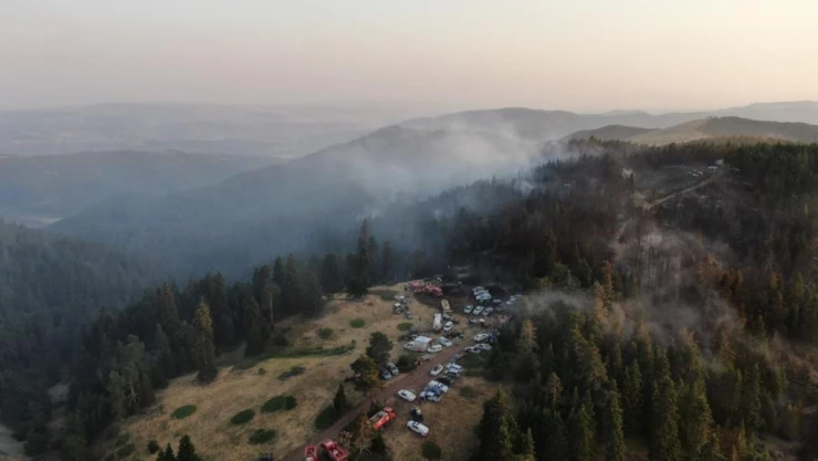 Tosya Sınırındaki Yangında İlerleme Durduruldu