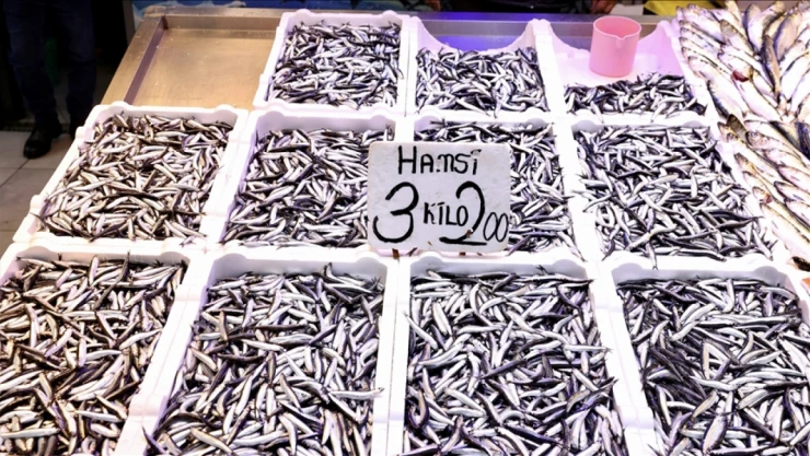 Trabzon'da Hamsinin Kilogramı 75 Lira