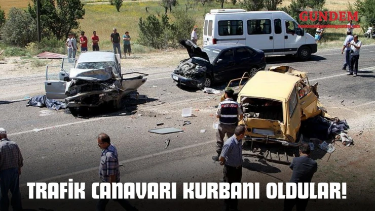 Trafik Canavarı Kurbanı Oldular!