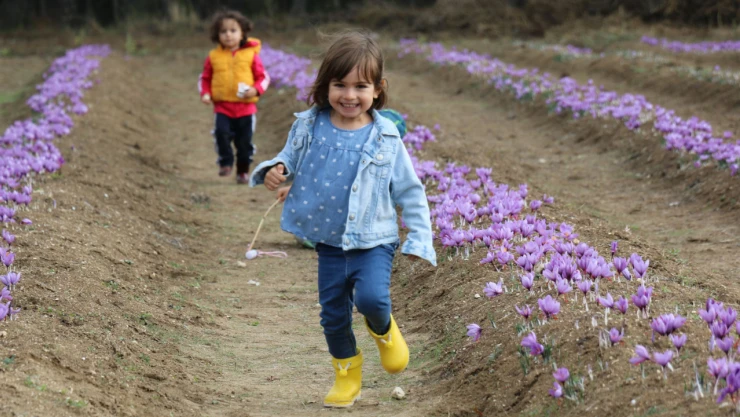 Tüik'ten Karabük çocuk verileri