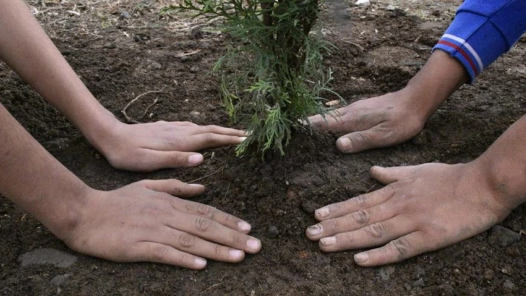 Tüm Okullarda Fidan Dikim Etkinlikleri Düzenlenecek