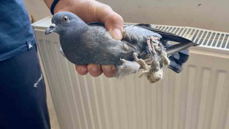 Türkeli Anadolu İHL Öğrencilerinden Örnek Davranış
