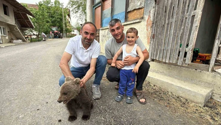Annesiz Bulunan Yavru Ayı Kurtarıldı
