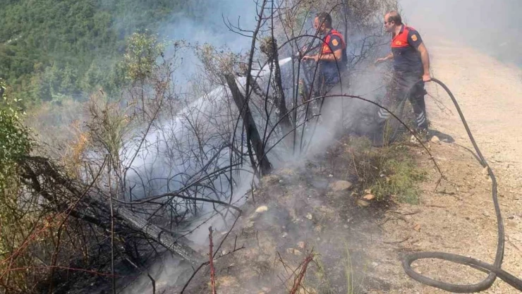 Türkeli'de Ormanlık Alanda Yangın Paniği