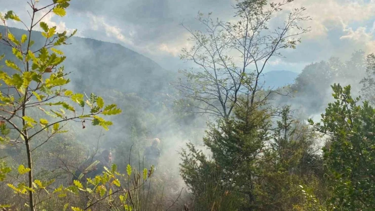 Türkeli'de Otluk Alanda Yangın