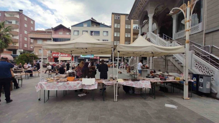 Türkeli'de Sahipsiz Hayvanlar İçin 51 Bin Lira Toplandı