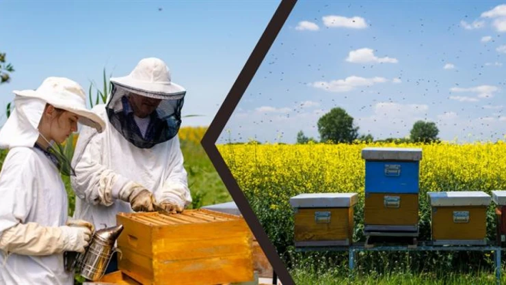 Türkiye Arıcılık Haritası Güncellendi