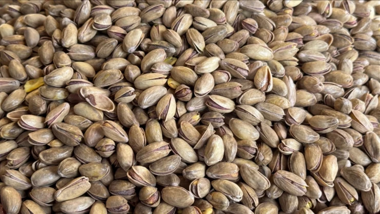 Türkiye, Birinciliği Kimseye Bırakmadı