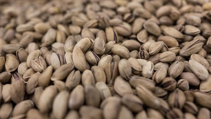 Türkiye'den 229 Milyon Dolarlık Fıstık İhraç Edildi