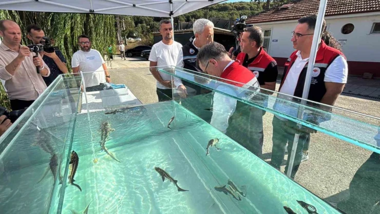 Türkiye'den Dünya Sofralarına