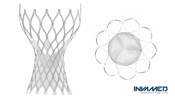 Türkiye Kalp Kapağı Üretti