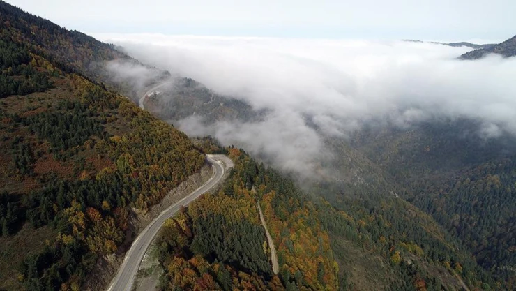 Türkiye'nin İlk PAN Park'ı Nerede ?