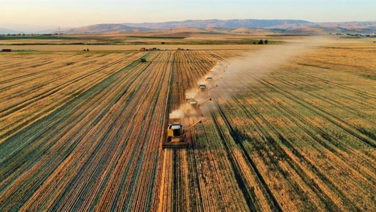 Türkiye'nin Tarımsal Hasılası 68,5 Milyar Dolara Ulaştı
