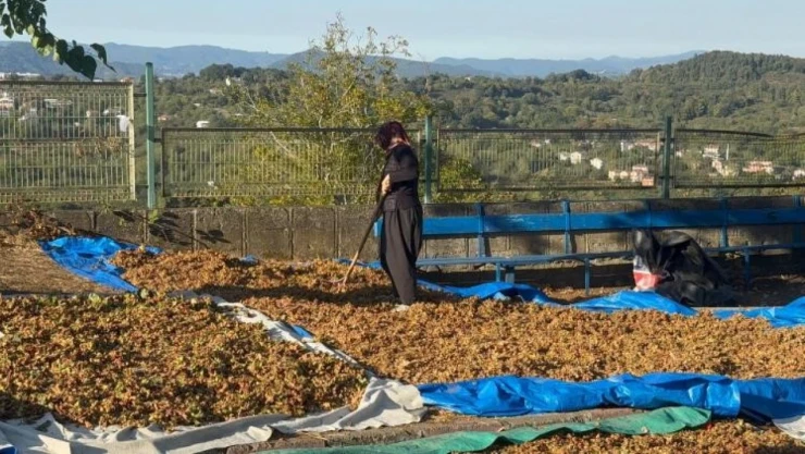 Türkoğlu: 'Üreticinin Emeğini Yok Saymayın'