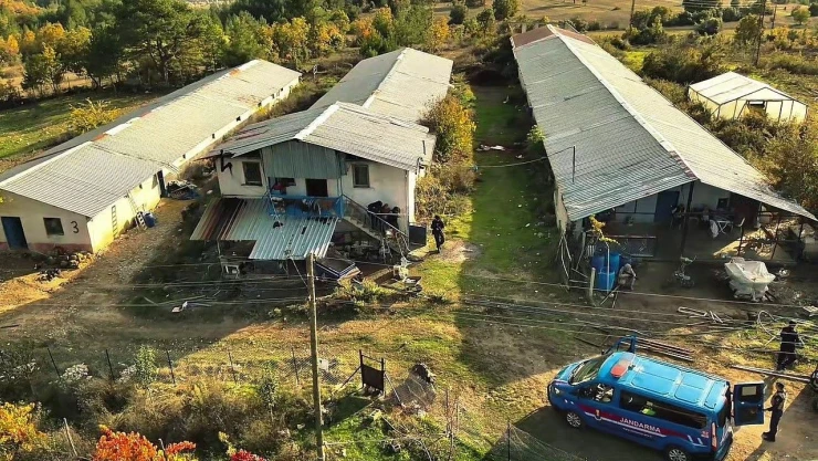 Hayvan Çiftliğinde Yakalandı!