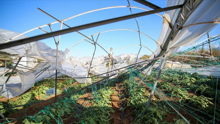 Üreticilere Hasar Tazminatı Ödendi