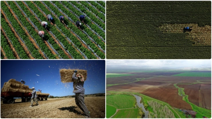 Üretimde Azalış Bekleniyor