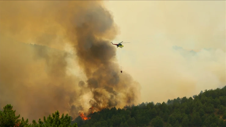 Uşak'ta Çıkan Orman Yangınına Müdahale Ediliyor