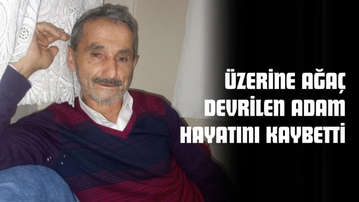 Üzerine Ağaç Devrilen Adam Hayatını Kaybetti