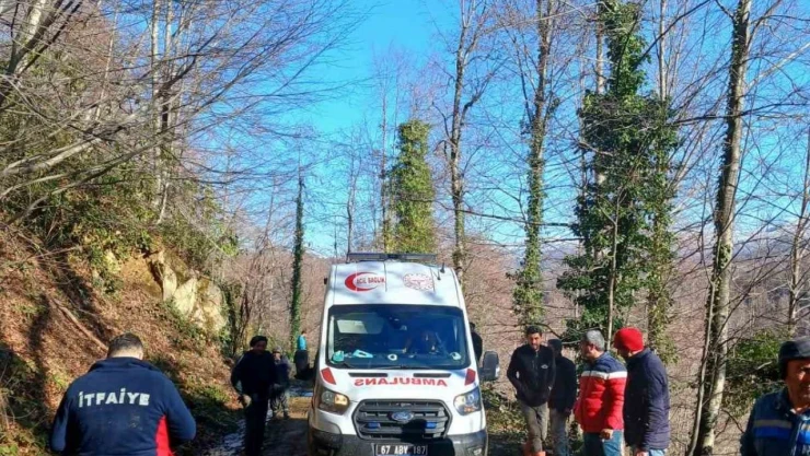 Üzerine Tomruk Devrilen İşçi Yaralandı