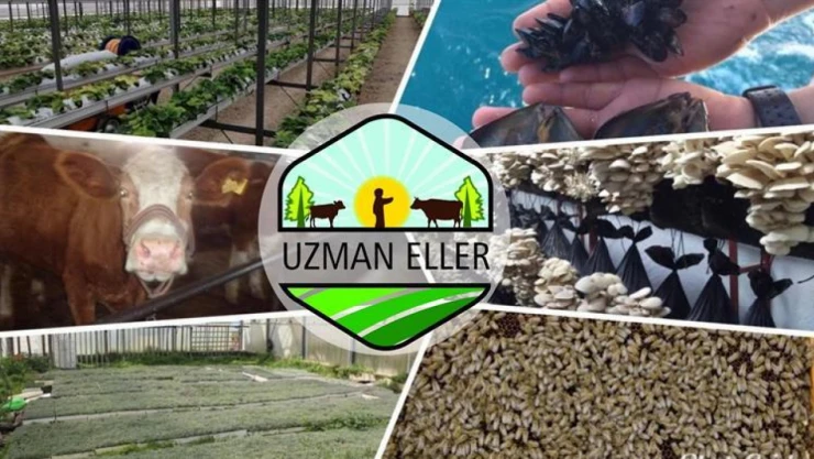 Uzman Eller'de ilave projeler açıklandı