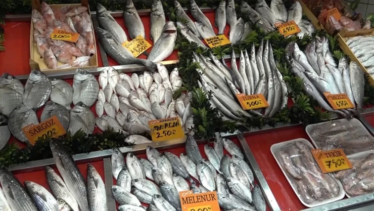 Uzmanından Dip Balık Önerisi