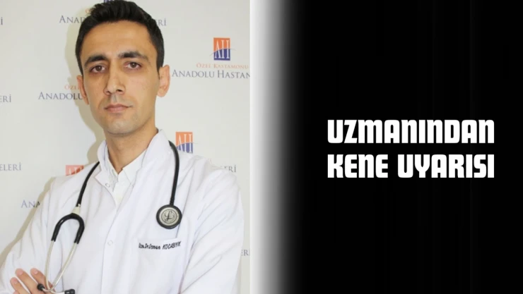 Uzmanından Kene Uyarısı