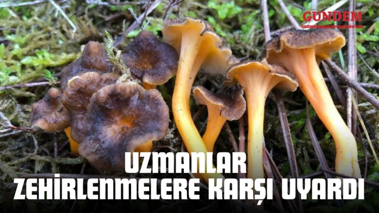 Uzmanlar Zehirlenmelere Karşı Uyardı