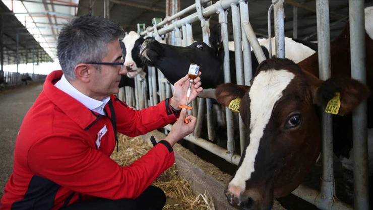 Vaka Sayısı Yaklaşık Yüzde 80 Azaldı