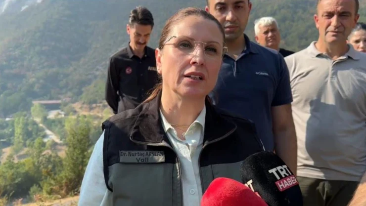 Vali Arslan'dan Yangına İlişkin Açıklama