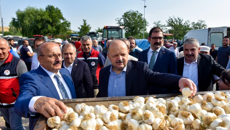 Vali Dallı'dan, Sarımsak Pazarı'na Ziyaret
