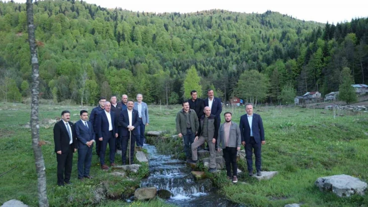 Vali Hacıbektaşoğlu Anıt Ağaçları Ve Yaylaları İnceledi