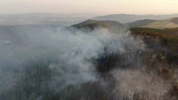 Vali Taşolar, Orman Yangınını İhbar Eden Çocuğa Teşekkür Etti