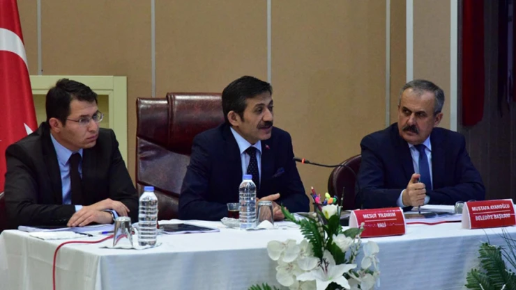 Vali Yıldırım, Araç'ı inceledi