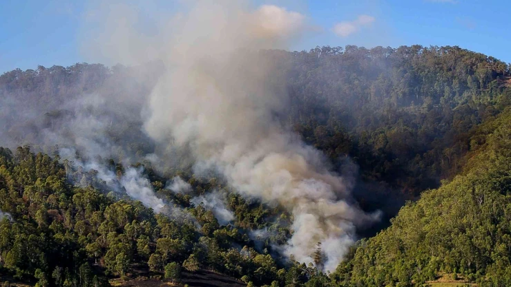 Valilik, Orman Yangınlarına Karşı Yasakları Yeniden Hatırlattı