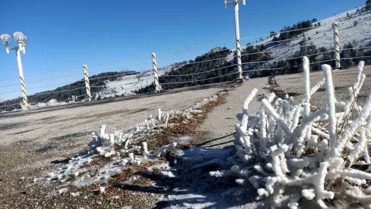 Valilik Uyardı: Zirai Don 3 Gün Sürecek