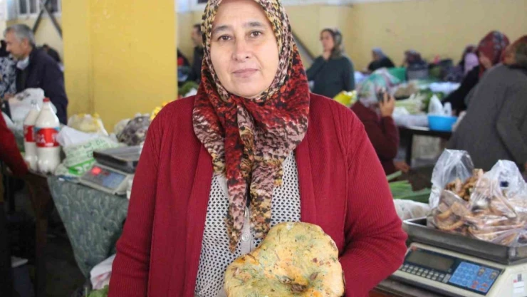 Vatandaş Ormandan Kova Kova Topladı