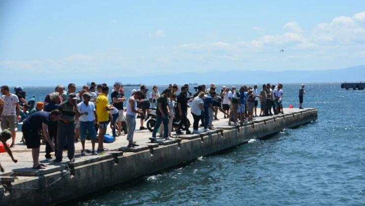 Vatandaşlar balık yakalamak için sahile akın etti