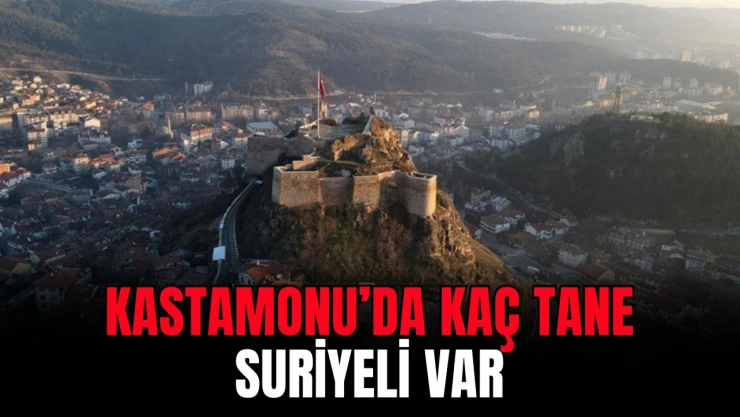 Veriler Güncellendi, İşte Kastamonu'daki Suriyeli Sayısı