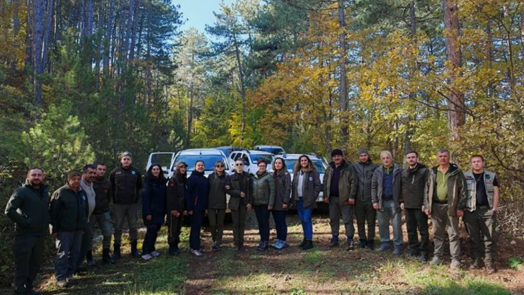 Yaban Hayatı Envanter Çalışmaları Yapıldı