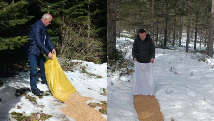 Yaban Hayvanlarına Yem ve Yiyecek Desteği