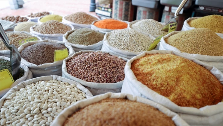 Yağışlar Hububata Olumlu Yansıdı